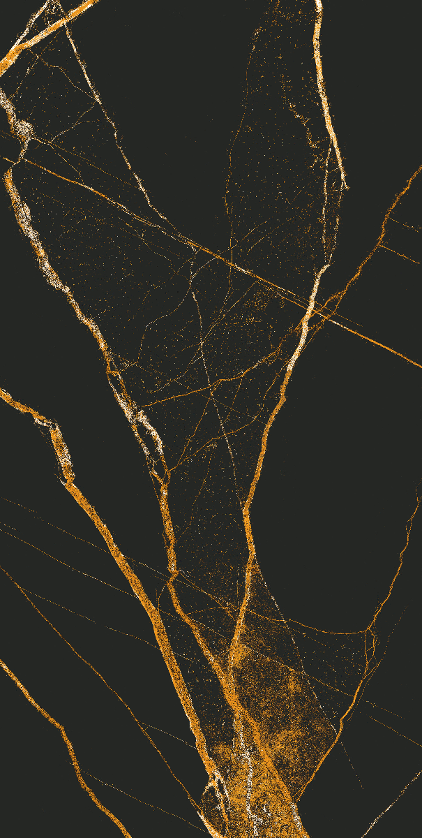 Black Gold Matt Porcelain 60x120 cm