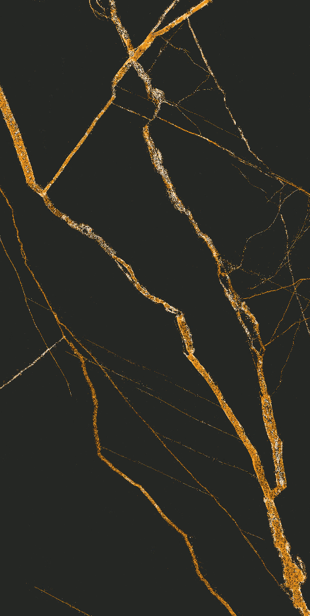 Black Gold Matt Porcelain 60x120 cm