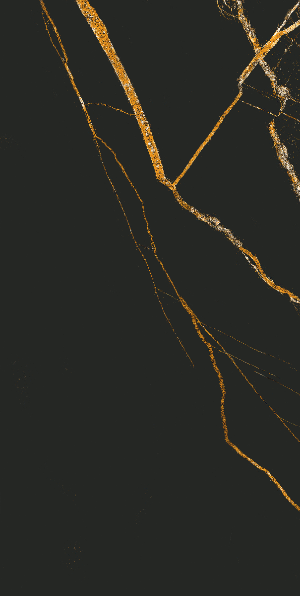 Black Gold Matt Porcelain 60x120 cm