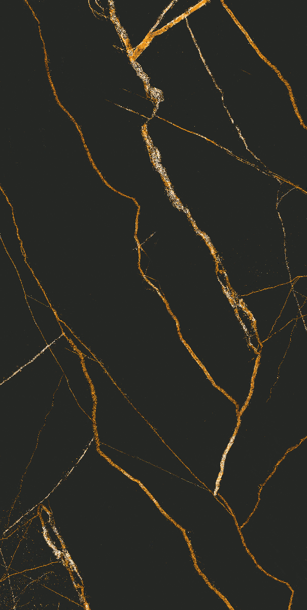 Black Gold Matt Porcelain 60x120 cm