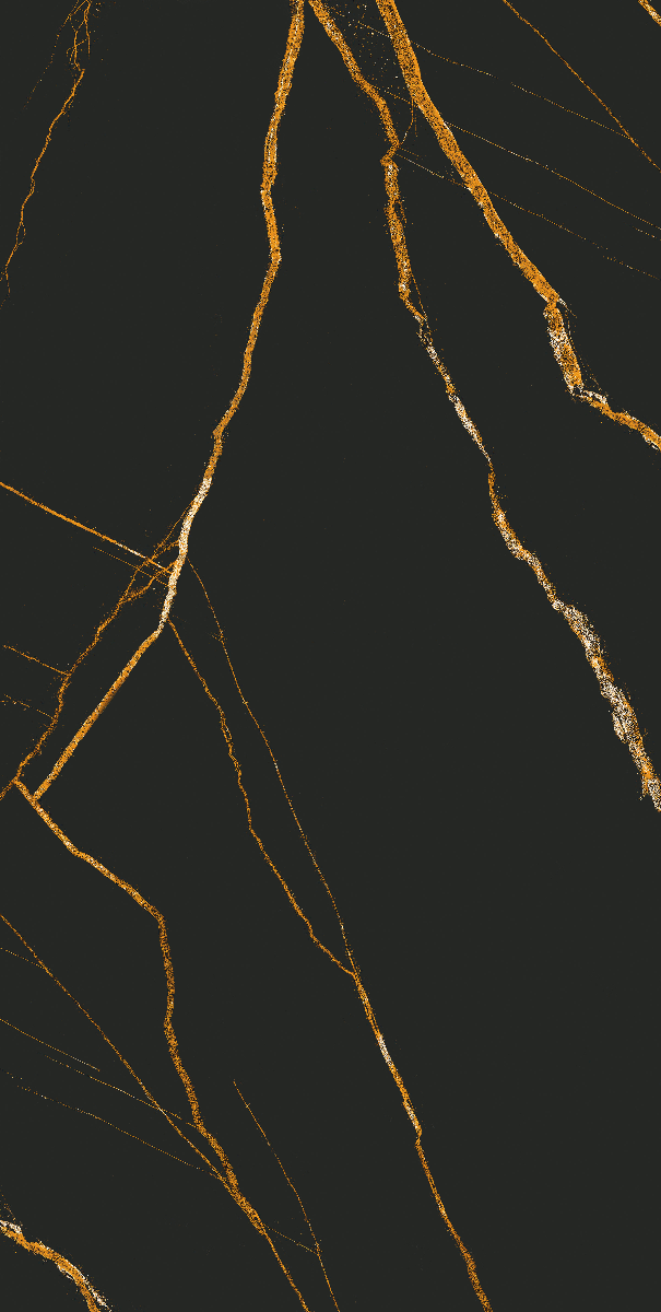 Black Gold Matt Porcelain 60x120 cm