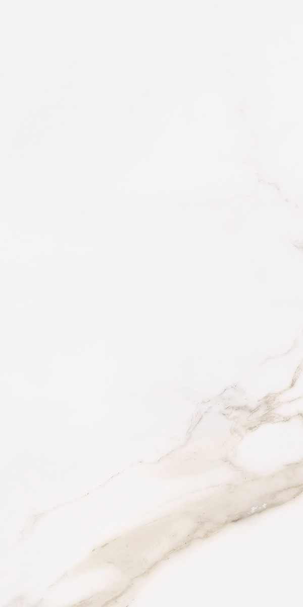 Calacatta Gold Matt Porcelain 60x120cm