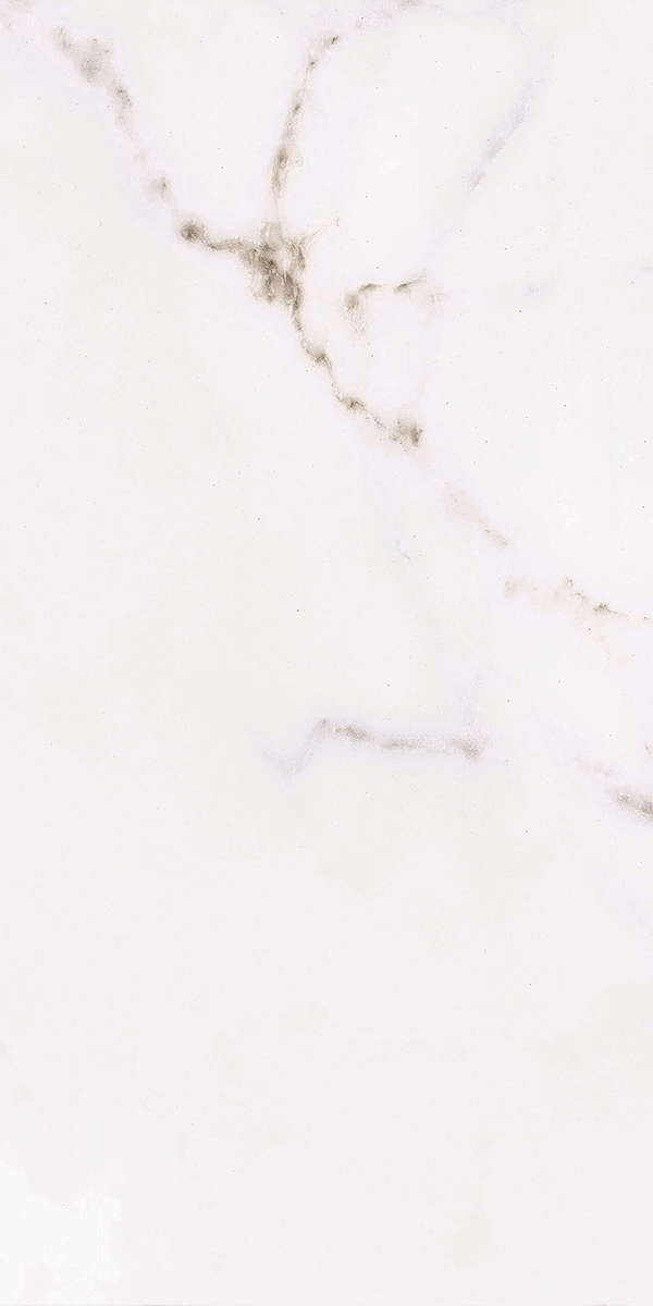 Calacatta Gold Matt Porcelain 60x120cm