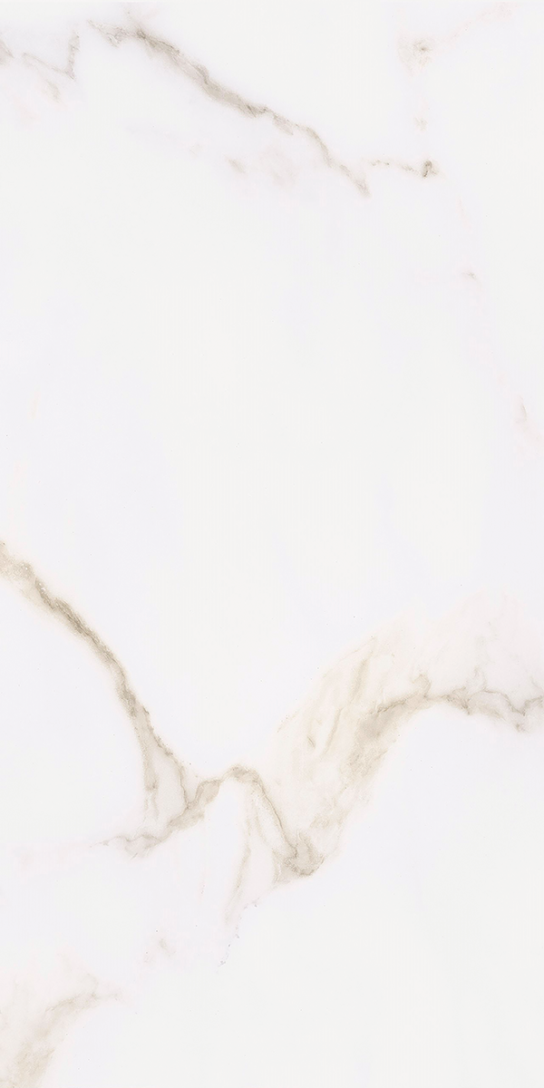 Calacatta Gold Matt Porcelain 60x120cm