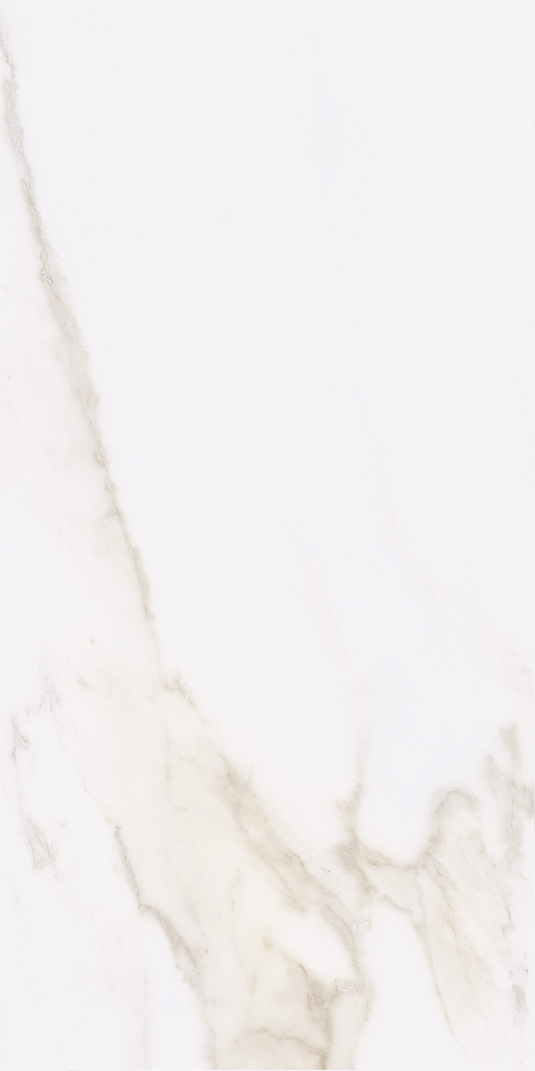Calacatta Gold Matt Porcelain 60x120cm