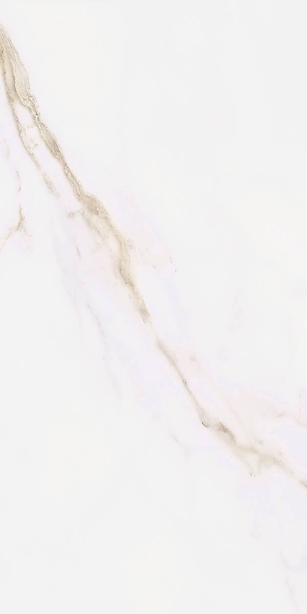 Calacatta Gold Matt Porcelain 30x60cm