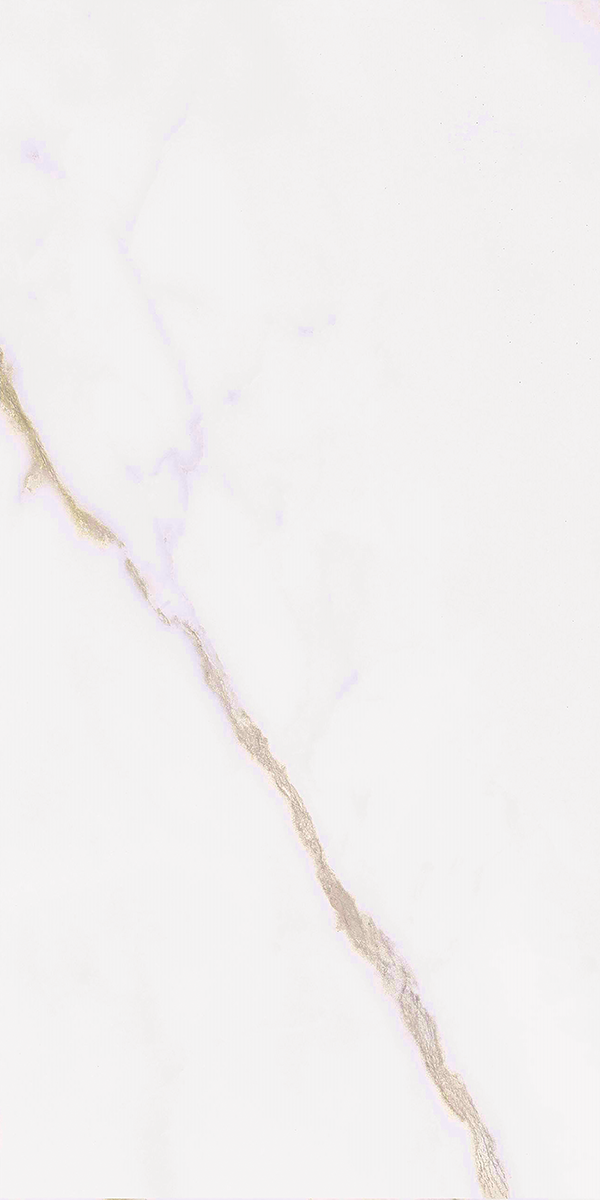 Calacatta Gold Matt Porcelain 30x60cm
