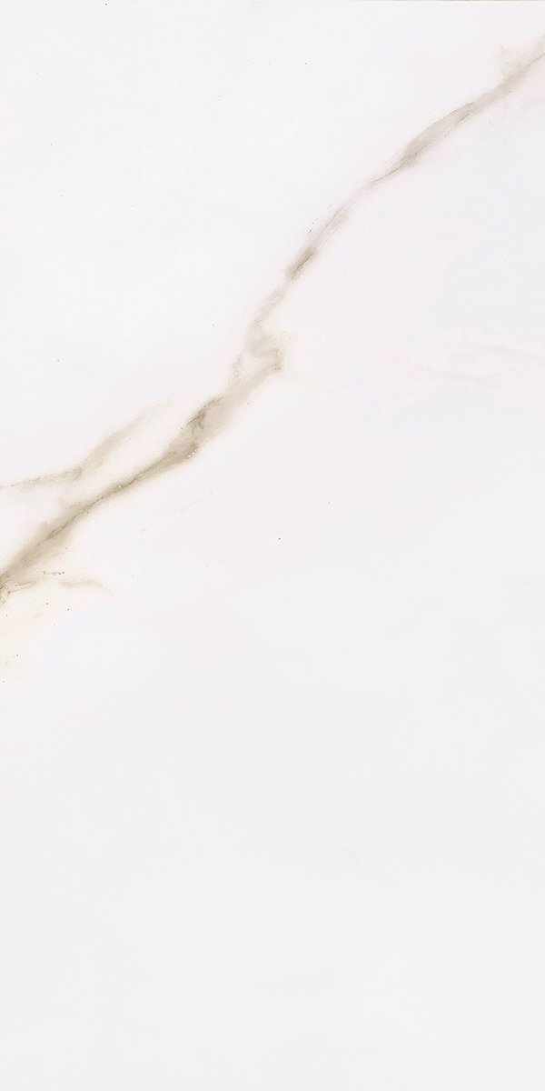 Calacatta Gold Matt Porcelain 30x60cm