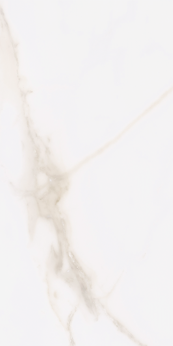 Calacatta Gold Matt Porcelain 30x60cm