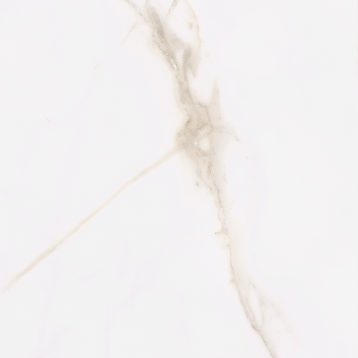 Calacatta Gold Matt Porcelain 60x60cm