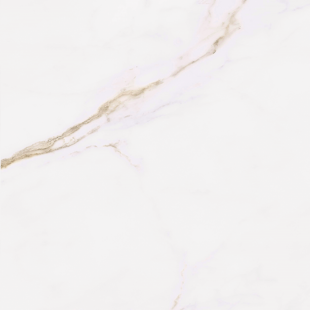 Calacatta Gold Matt Porcelain 60x60cm
