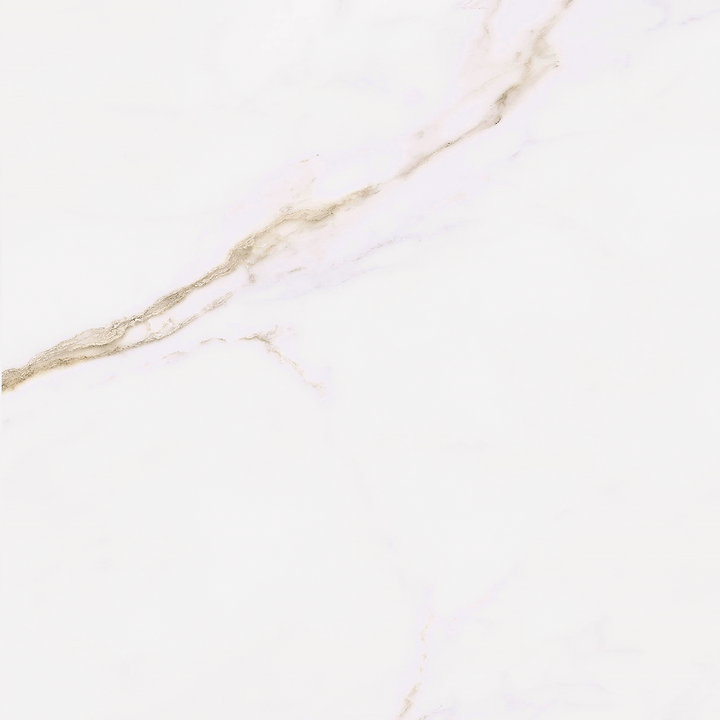 Calacatta Gold Matt Porcelain 60x60cm
