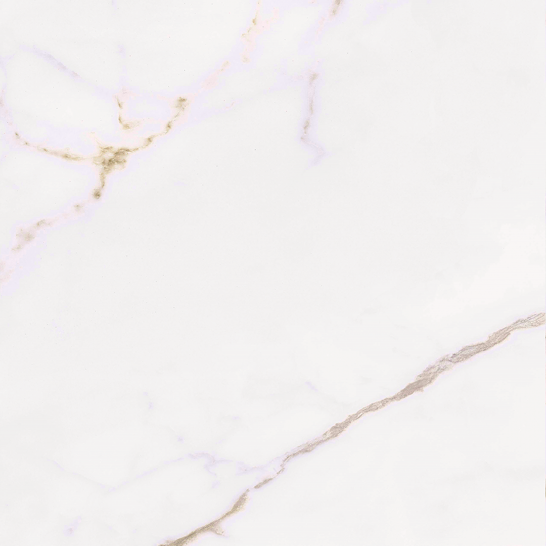 Calacatta Gold Matt Porcelain 60x60cm
