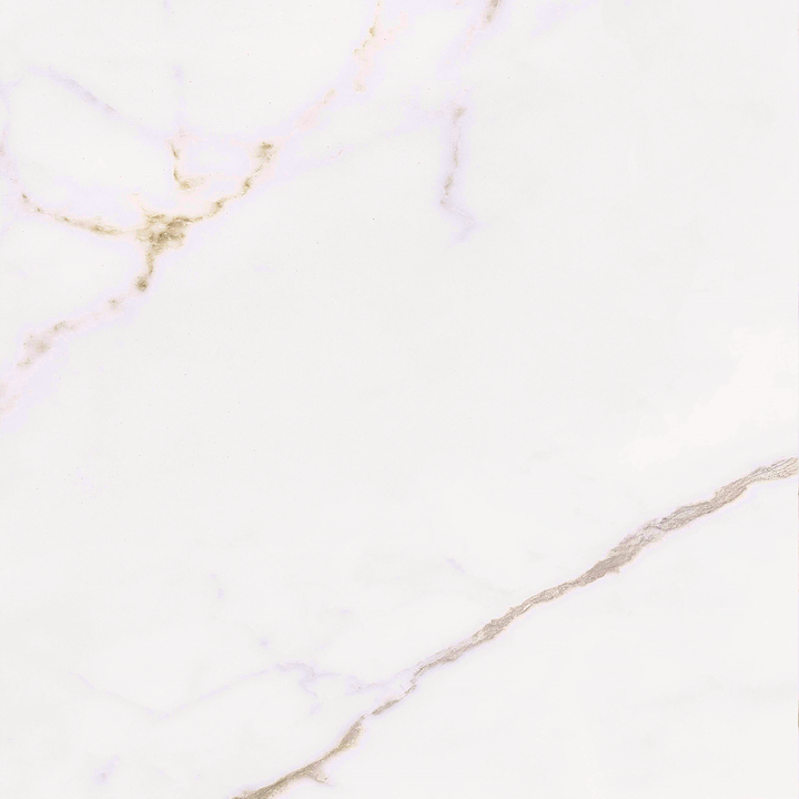 Calacatta Gold Matt Porcelain 60x60cm
