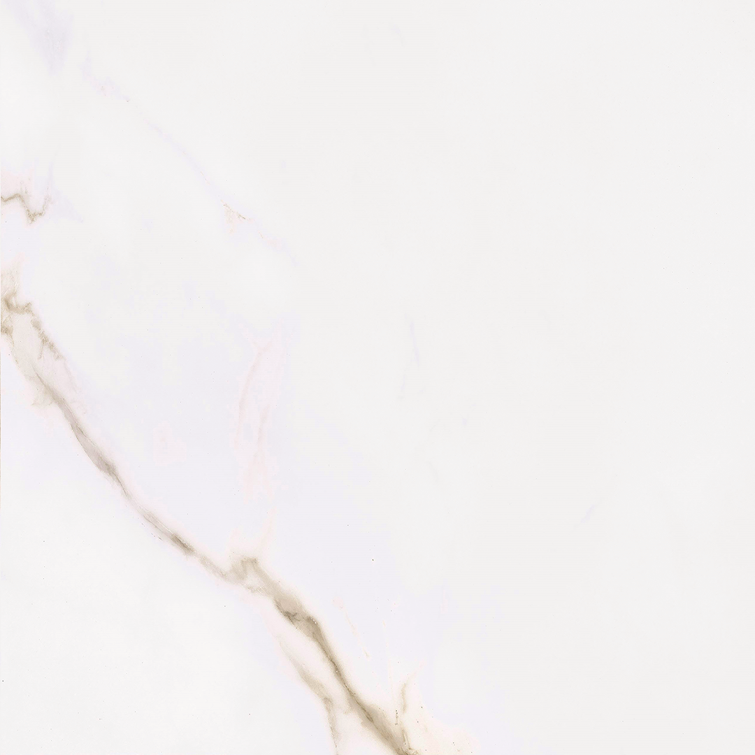 Calacatta Gold Matt Porcelain 60x60cm