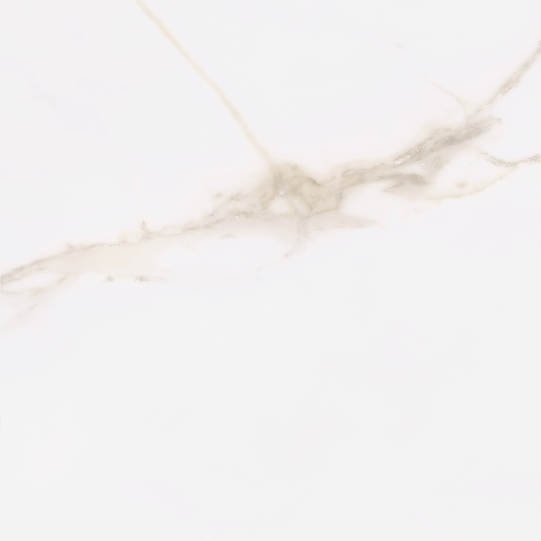 Calacatta Gold Matt Porcelain 60x60cm