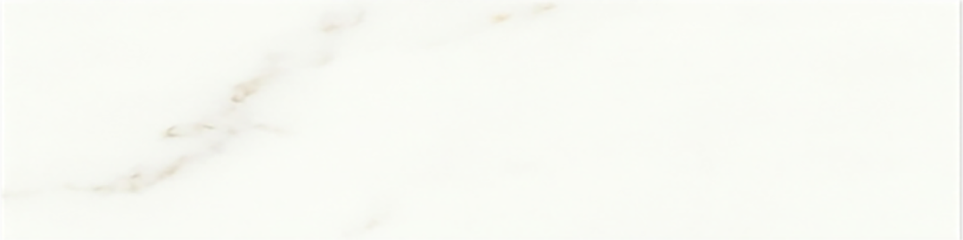 Calacatta Gold Matt Ceramic 7.5x30cm