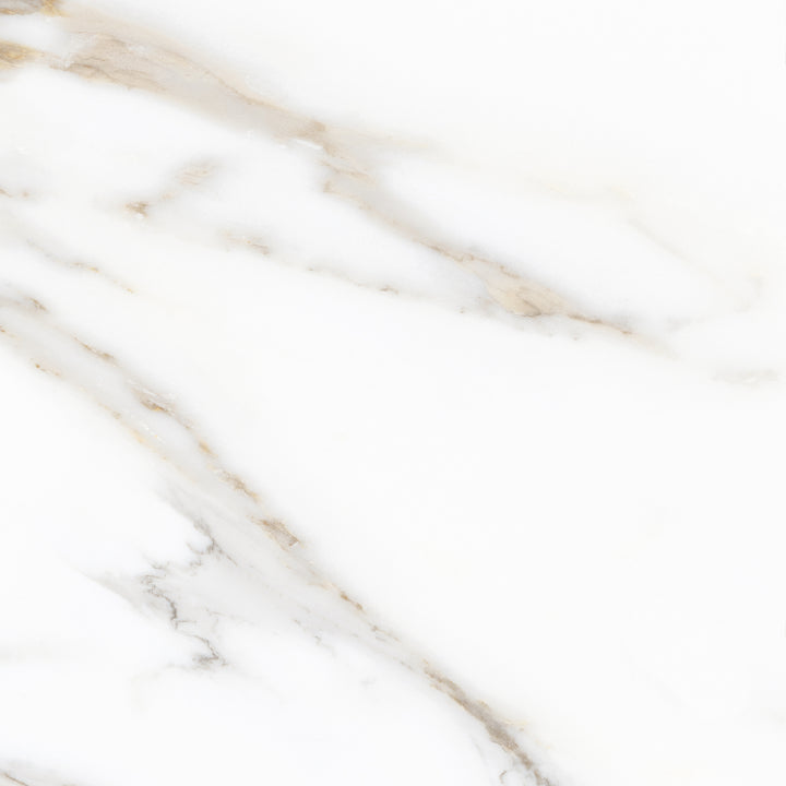 Calacatta Gold Polished Porcelain 60x60cm
