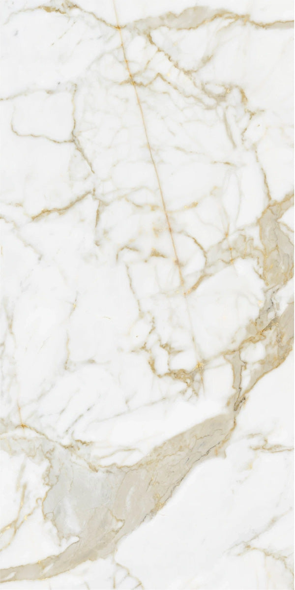 Calacatta Gold Polished Porcelain 60x120cm