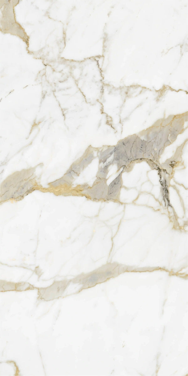 Calacatta Gold Polished Porcelain 60x120cm