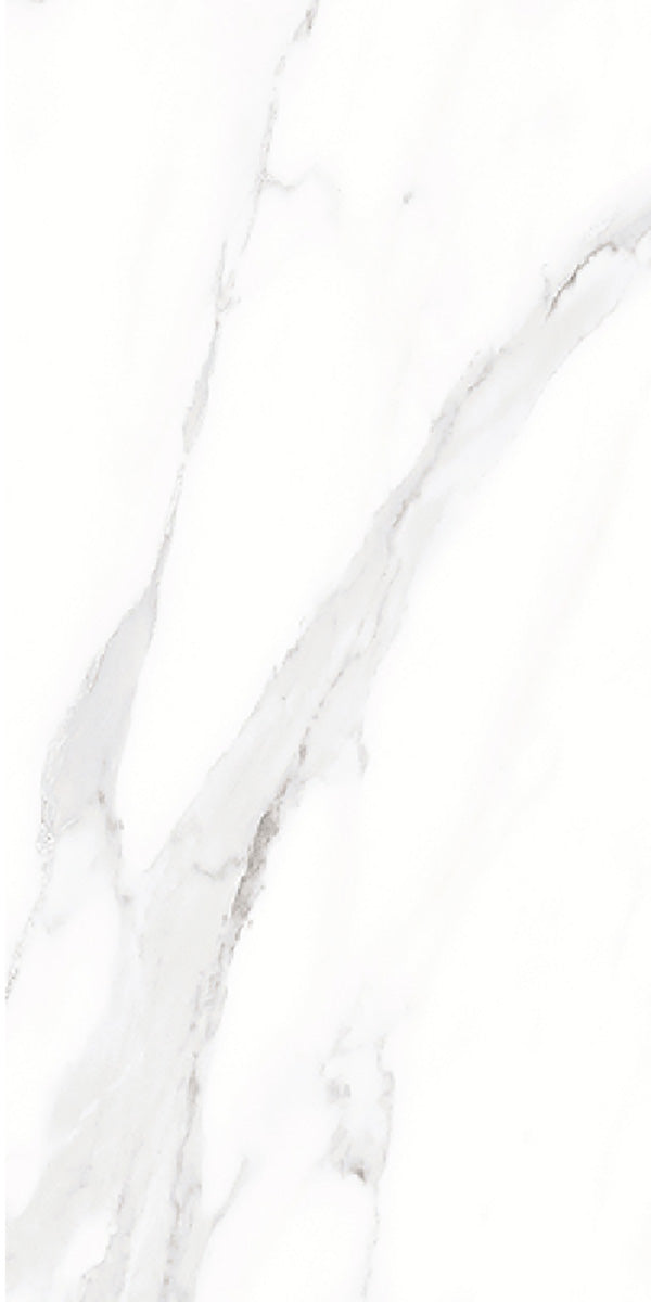 Carrara White Marble Matt Porcelain 30x60cm
