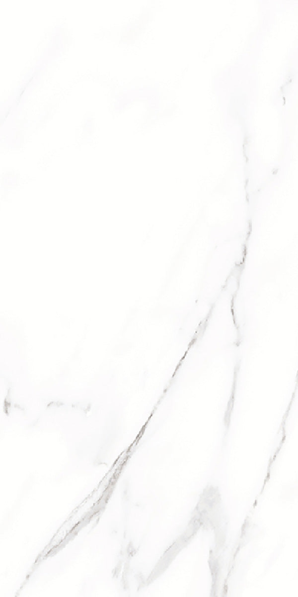 Carrara White Marble Matt Porcelain 30x60cm