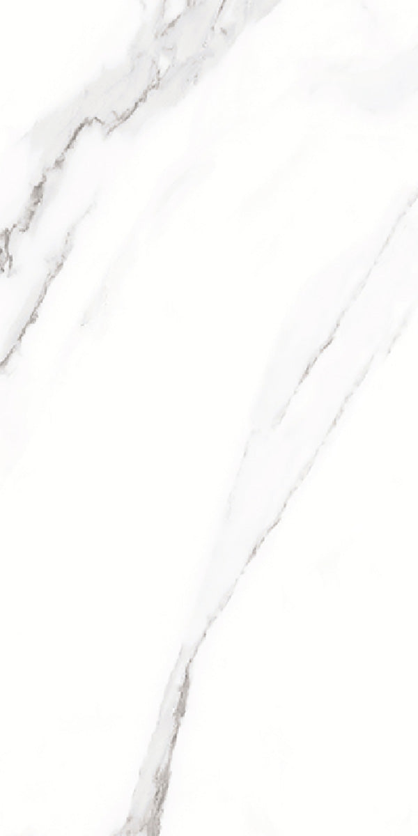 Carrara White Marble Matt Porcelain 30x60cm