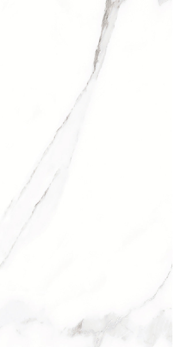 Carrara White Marble Matt Porcelain 30x60cm