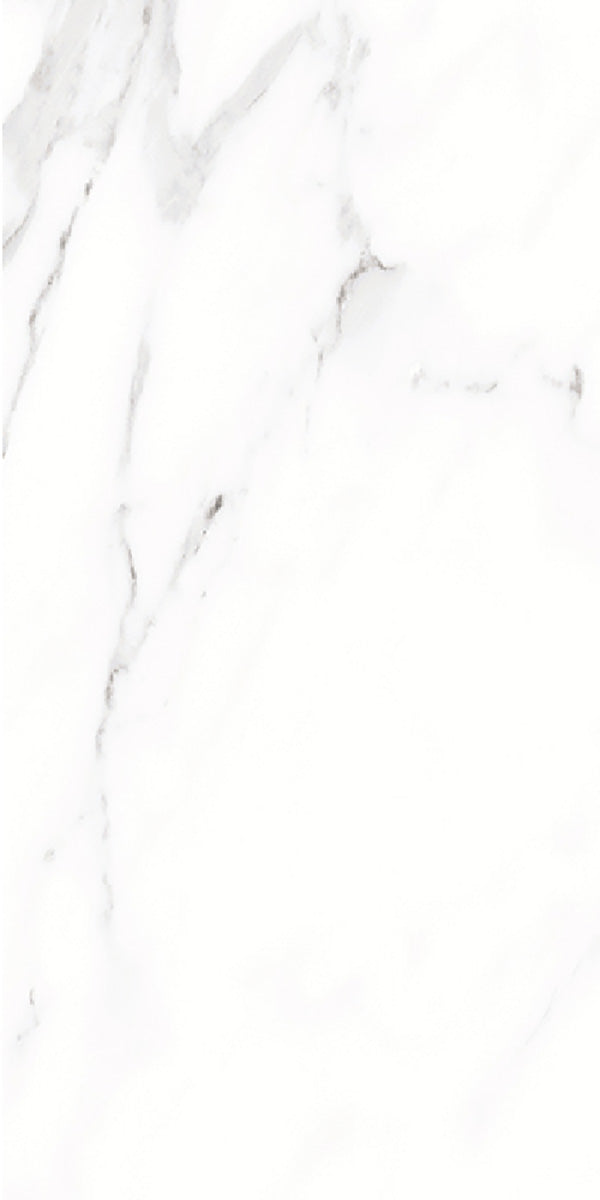 Carrara White Marble Matt Porcelain 30x60cm