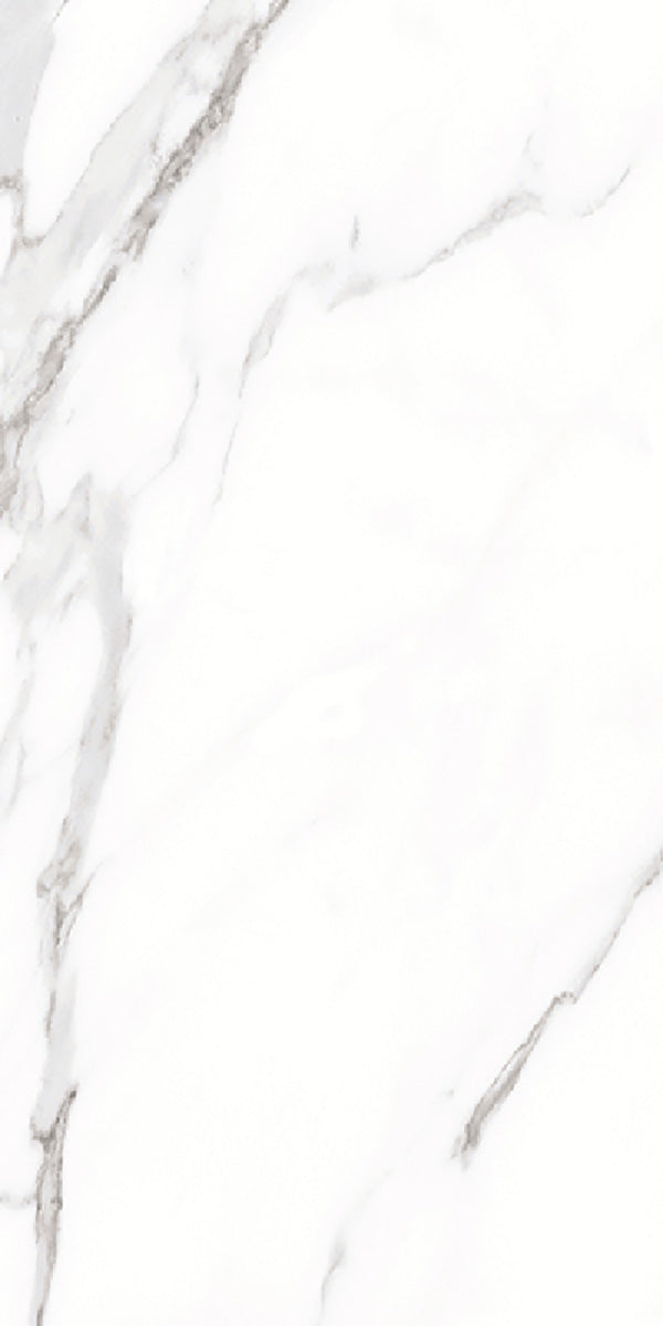 Carrara White Marble Matt Porcelain 30x60cm