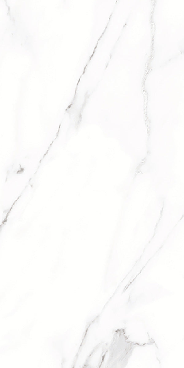 Carrara White Marble Matt Porcelain 30x60cm