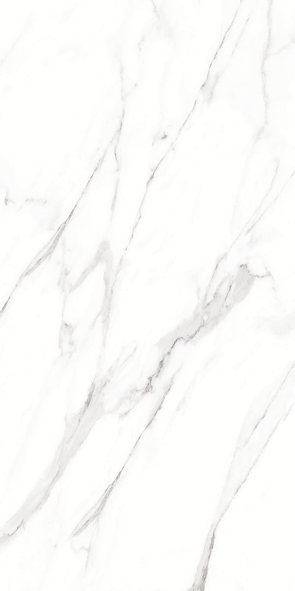 Carrara White Marble Effect Matt Porcelain 60x120cm