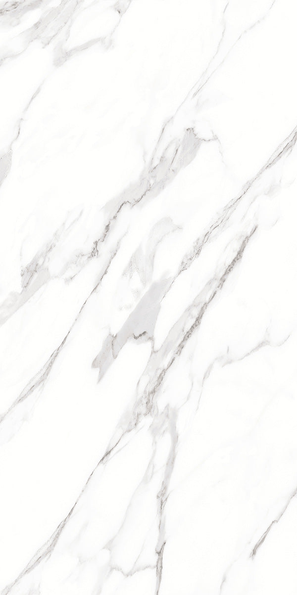 Carrara White Marble Effect Matt Porcelain 60x120cm