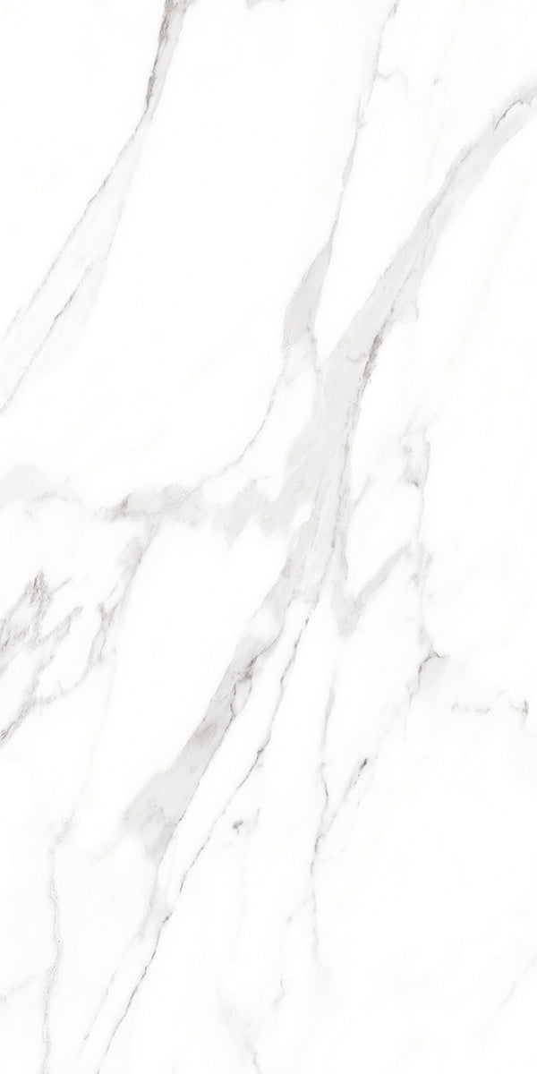 Carrara White Marble Effect Matt Porcelain 60x120cm