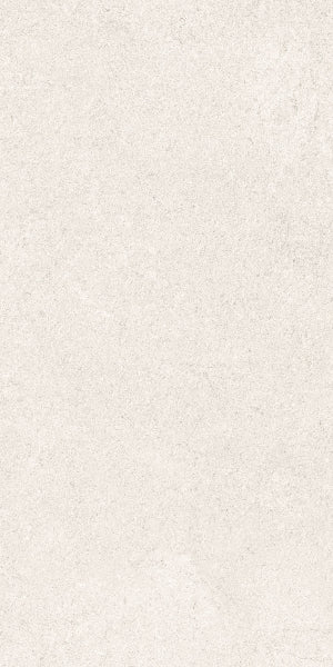 Fenstone Bone Porcelain 30x60cm