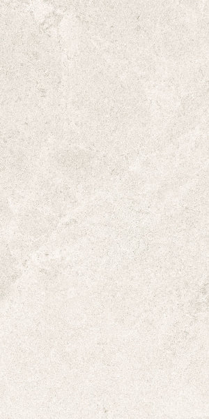 Fenstone Bone Porcelain 30x60cm