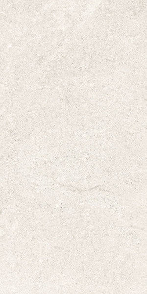 Fenstone Bone Porcelain 30x60cm