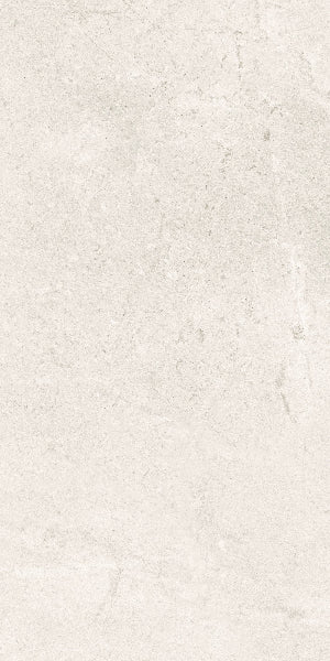 Fenstone Bone Porcelain 30x60cm