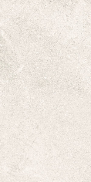 Fenstone Bone Porcelain 30x60cm