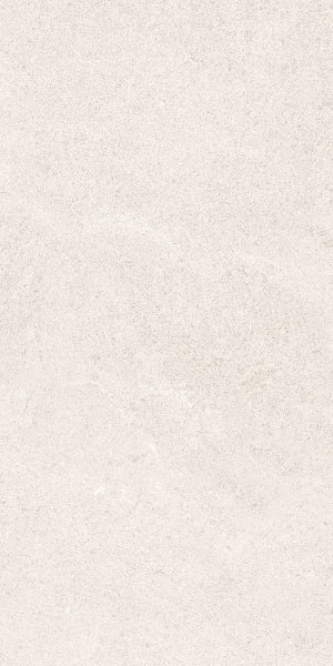 Fenstone Bone Porcelain 30x60cm
