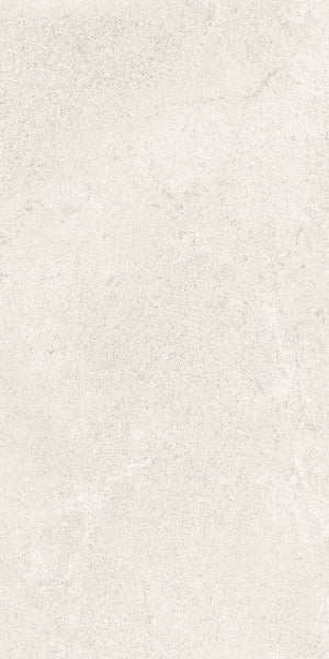Fenstone Bone Porcelain 30x60cm