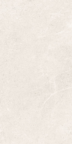 Fenstone Bone Porcelain 30x60cm