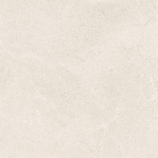 Fenstone Bone Porcelain 60x60cm
