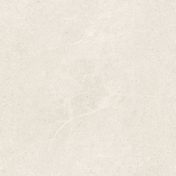 Fenstone Bone Porcelain 60x60cm