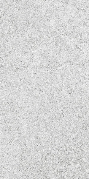 Fenstone Grey Porcelain 30x60cm