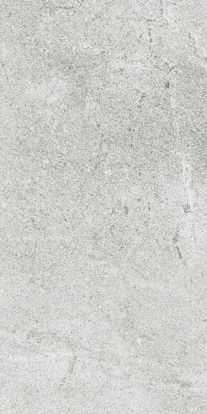 Fenstone Grey Porcelain 30x60cm