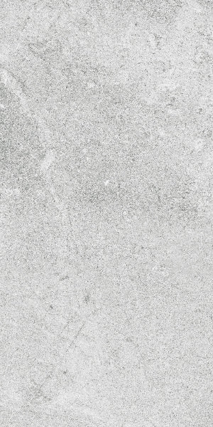 Fenstone Grey Porcelain 30x60cm