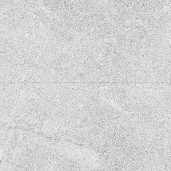 Fenstone Grey Porcelain 60x60cm