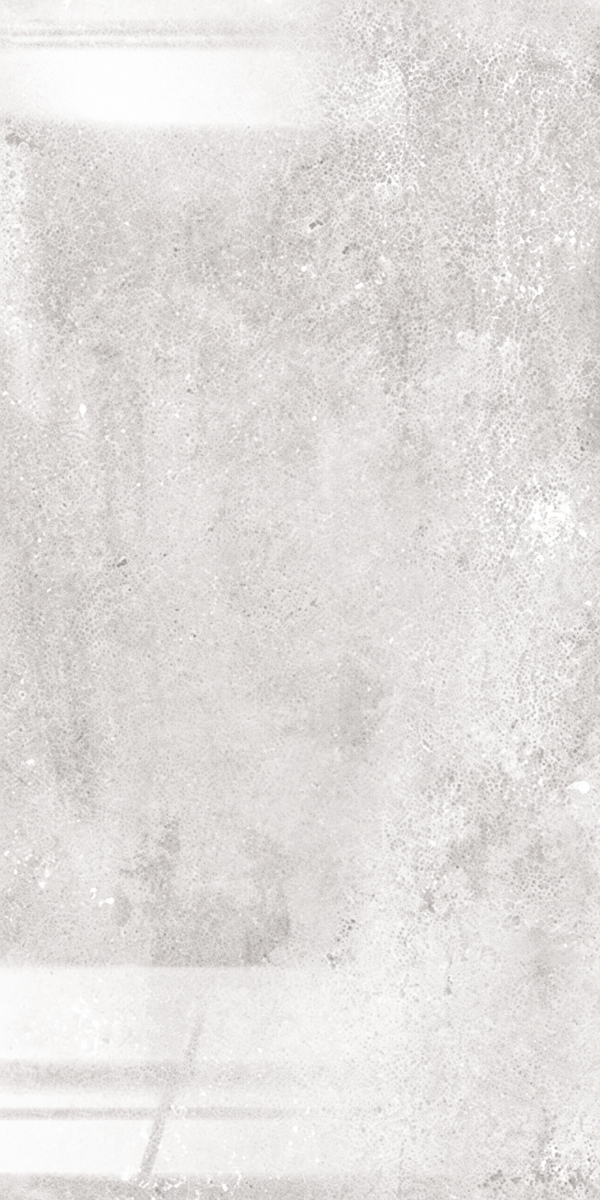 Formwork Gris Polished Porcelain 60x120cm