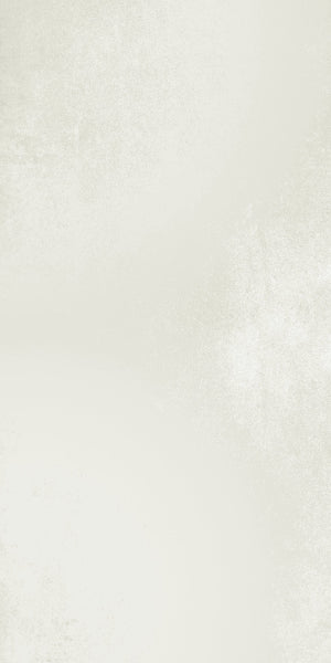 Titanium White Porcelain 29.8x59.8cm
